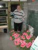 Mossy (Maurice) Bradfield in his greenhouse in Kinsale_thumb.jpg 2.8K